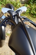 Nicolas-Chauvin-Design-Gingkos-Power-24